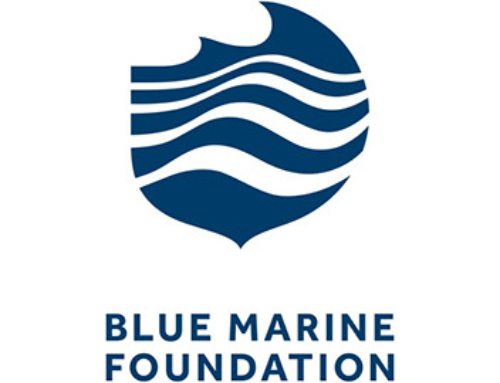 Blue Marine Foundation saves time and money with automatic reporting in Dynamics 365 Business Central